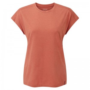 Grey Orange Montane Mira Women's T Shirts | UQQ3089MN