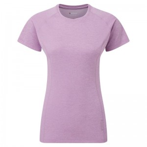 Grey Purple Montane Dart Women's T Shirts | QYP3751FS