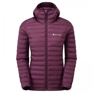 Purple Montane Icarus Lite Hooded Women's Jackets | CYY2419EX