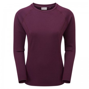 Purple Montane Protium Women's Sweaters | VWX1782UJ